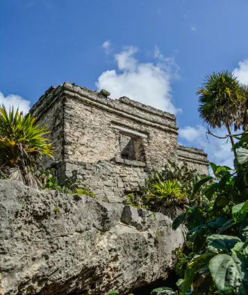 Private Tour of Tulum playa del carmen
