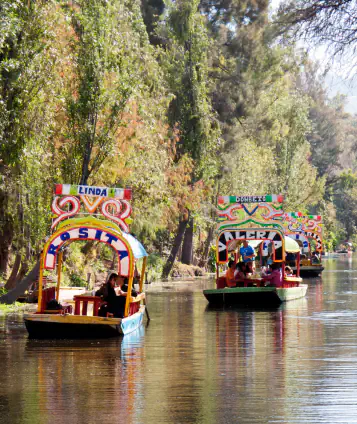 private tour Xochimilco & Coyoacan